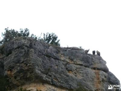 Cañón y Arrecife de Castrojimeno-Valdehornos; tiendas senderismo madrid vega real ribera del duero a